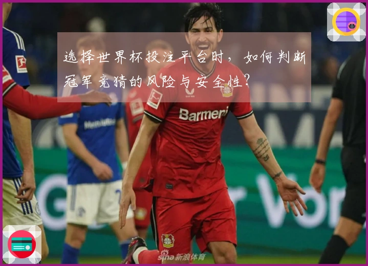 选择世界杯投注平台时，如何判断冠军竞猜的风险与安全性？