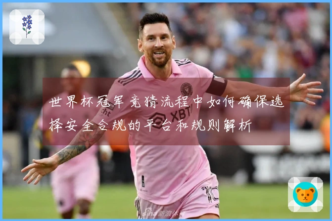 世界杯冠军竞猜流程中如何确保选择安全合规的平台和规则解析