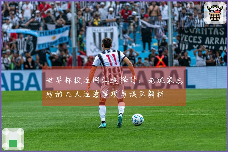 世界杯投注网站选择时，老玩家总结的几大注意事项与误区解析