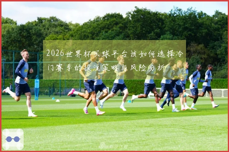 2026世界杯买球平台该如何选择冷门赛季的投注策略与风险分析
