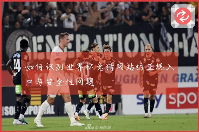 如何识别世界杯竞猜网站的正规入口与安全性问题