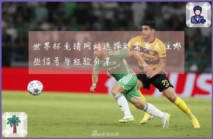 世界杯竞猜网站选择时需要关注哪些信号与经验分享