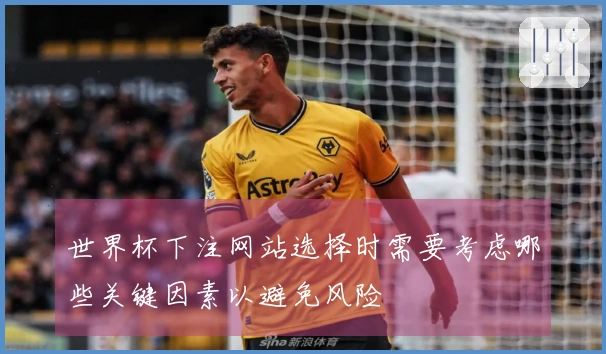 世界杯下注网站选择时需要考虑哪些关键因素以避免风险