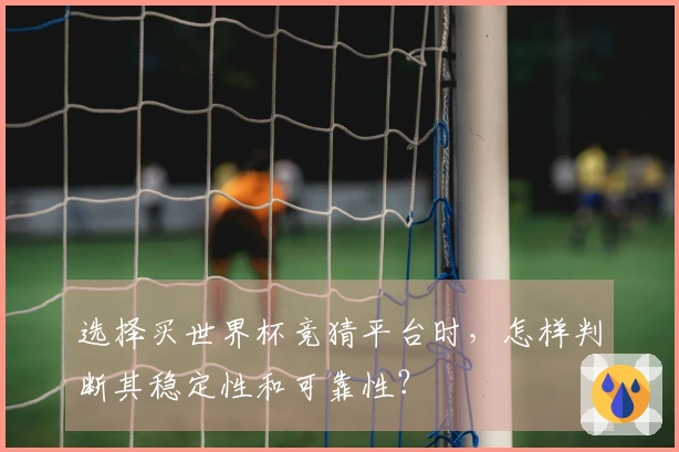 选择买世界杯竞猜平台时，怎样判断其稳定性和可靠性？