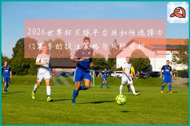 2026世界杯买球平台该如何选择冷门赛季的投注策略与风险分析