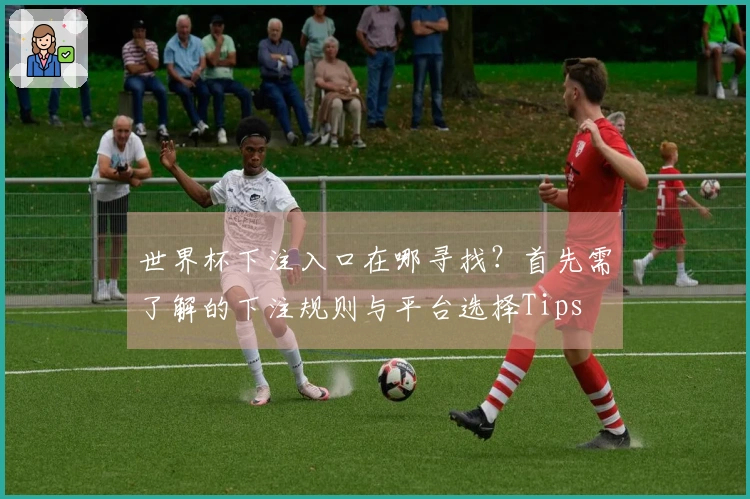 世界杯下注入口在哪寻找？首先需了解的下注规则与平台选择Tips
