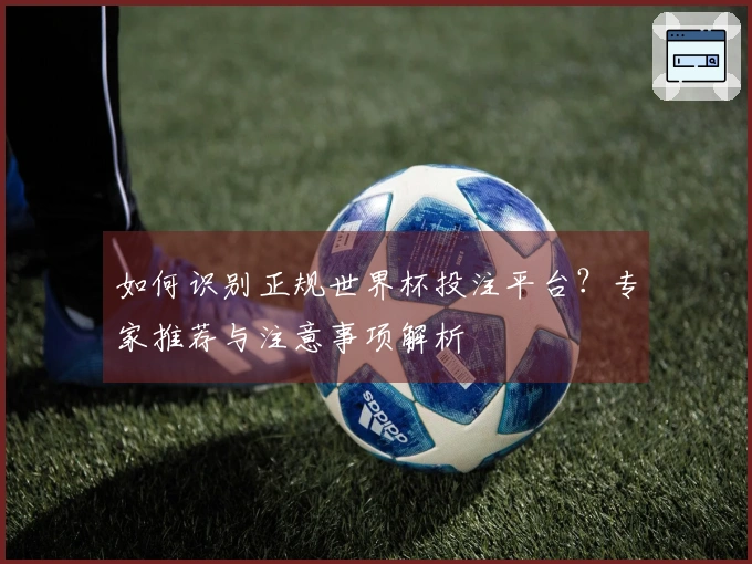 如何识别正规世界杯投注平台？专家推荐与注意事项解析
