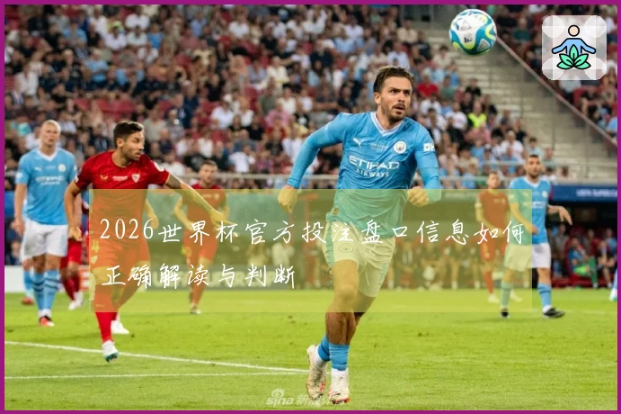 2026世界杯官方投注盘口信息如何正确解读与判断