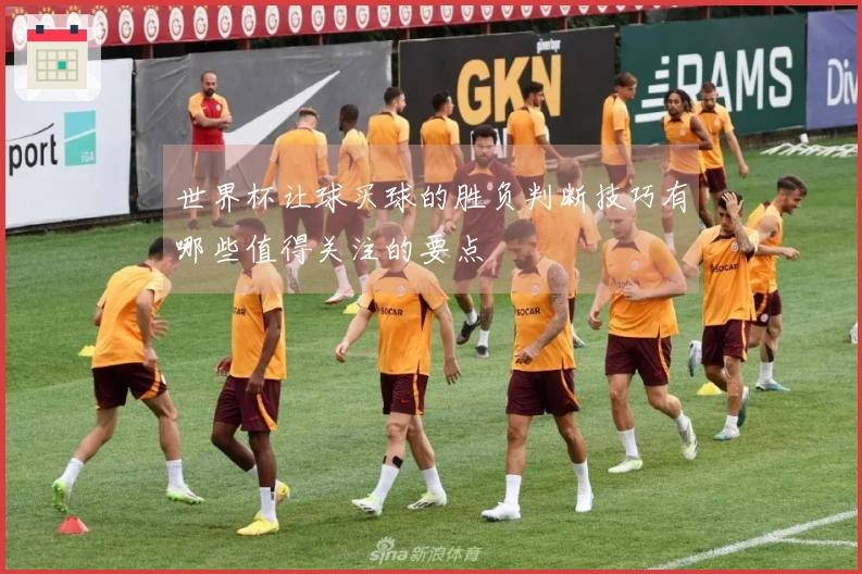 世界杯让球买球的胜负判断技巧有哪些值得关注的要点