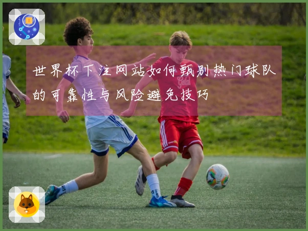 世界杯下注网站如何甄别热门球队的可靠性与风险避免技巧