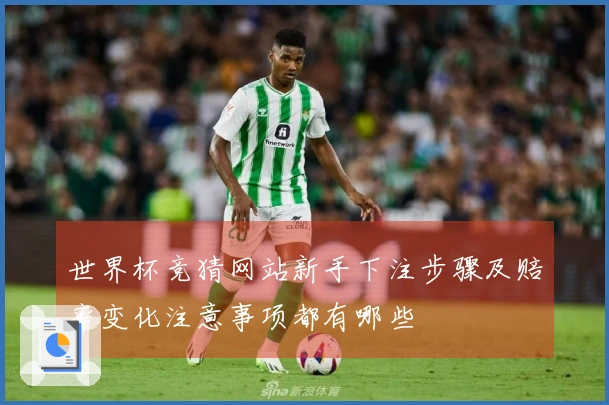 世界杯竞猜网站新手下注步骤及赔率变化注意事项都有哪些