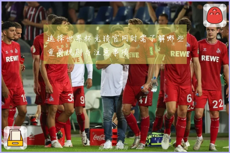 选择世界杯竞猜官网时需了解哪些重要规则与注意事项