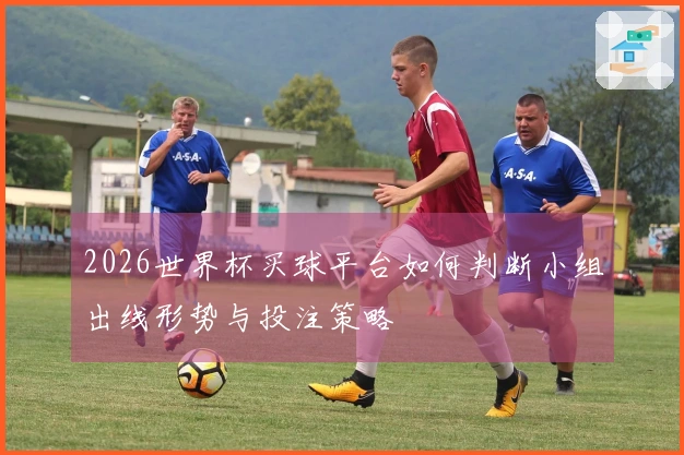 2026世界杯买球平台如何判断小组出线形势与投注策略