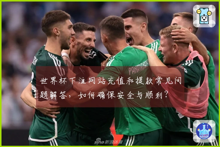世界杯下注网站充值和提款常见问题解答，如何确保安全与顺利？