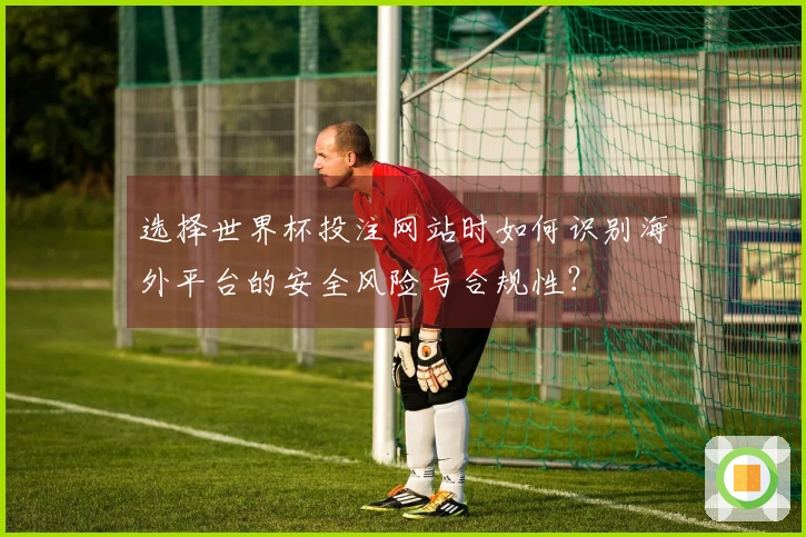 选择世界杯投注网站时如何识别海外平台的安全风险与合规性？