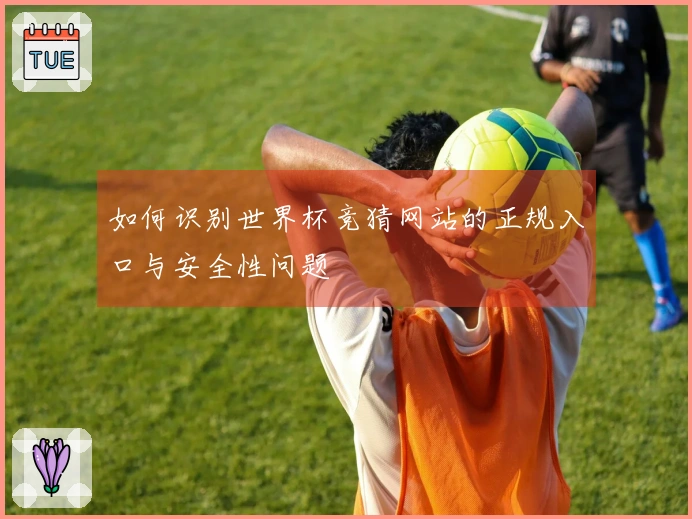 如何识别世界杯竞猜网站的正规入口与安全性问题